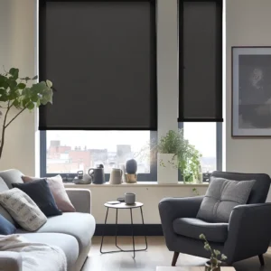 Black Sunscreen Blinds Roller Blind
